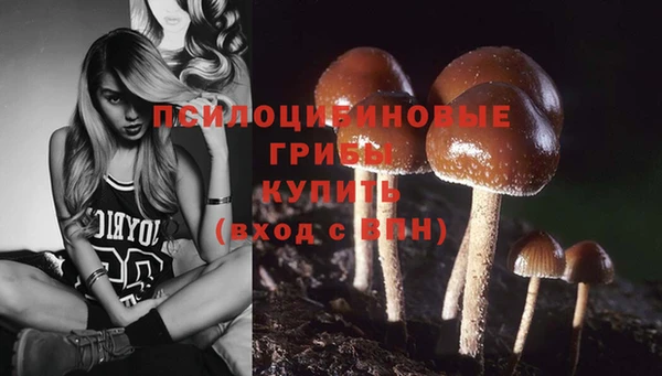 бутират Арсеньев