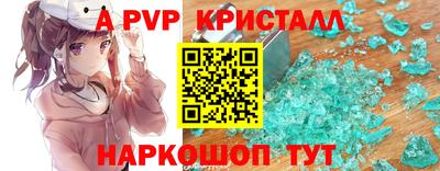 a pvp Кингисепп