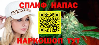 a pvp Кингисепп