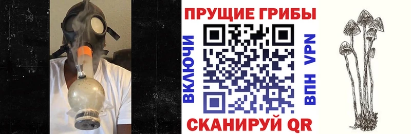 Псилоцибиновые грибы GOLDEN TEACHER Рубцовск