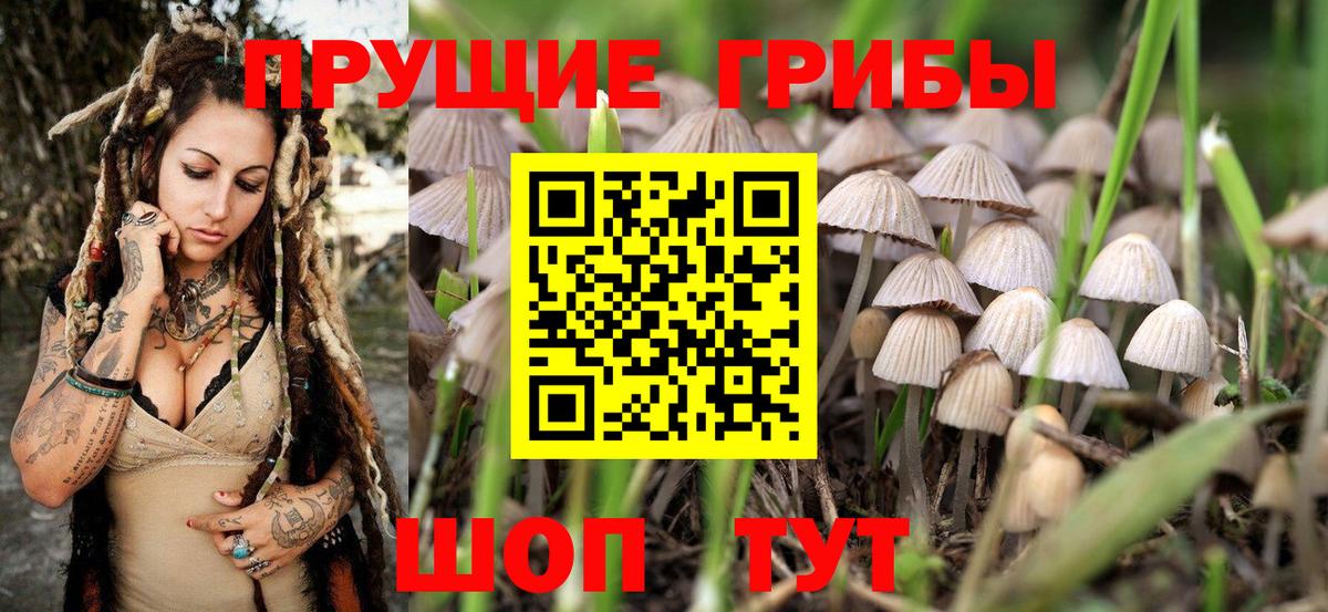 Галлюциногенные грибы ЛСД  Вход с VPN  Рубцовск 
